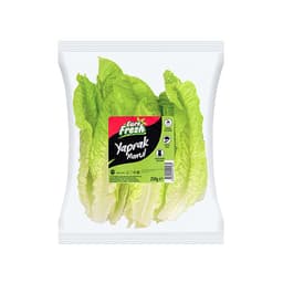Yıkanmış Yaprak Marul Paket