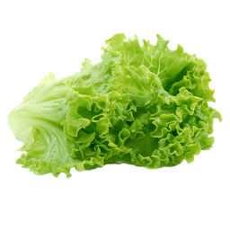 Kıvırcık