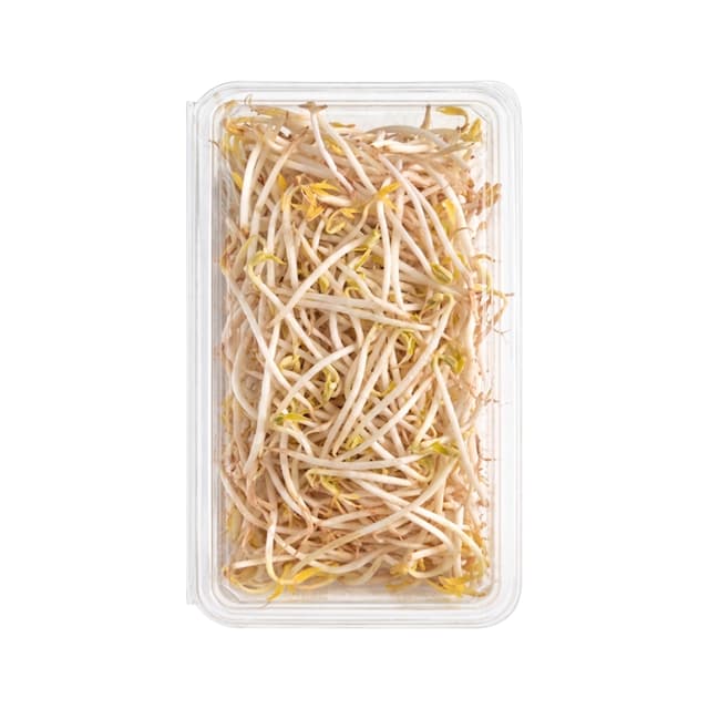 Soya Filizi Paket