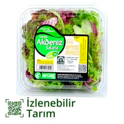 Erüst Karışık Akdeniz Salata Paket