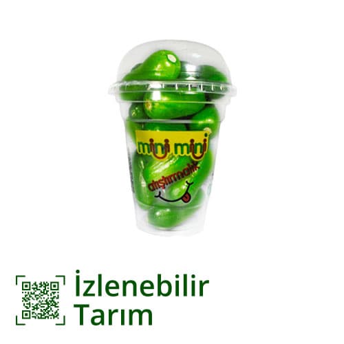 Erüst Atıştırmalık Mini Hıyar Paket