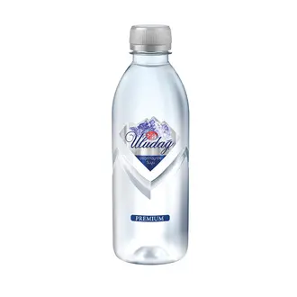 Uludağ Premium Doğal Kaynak Suyu Pet 400 Ml