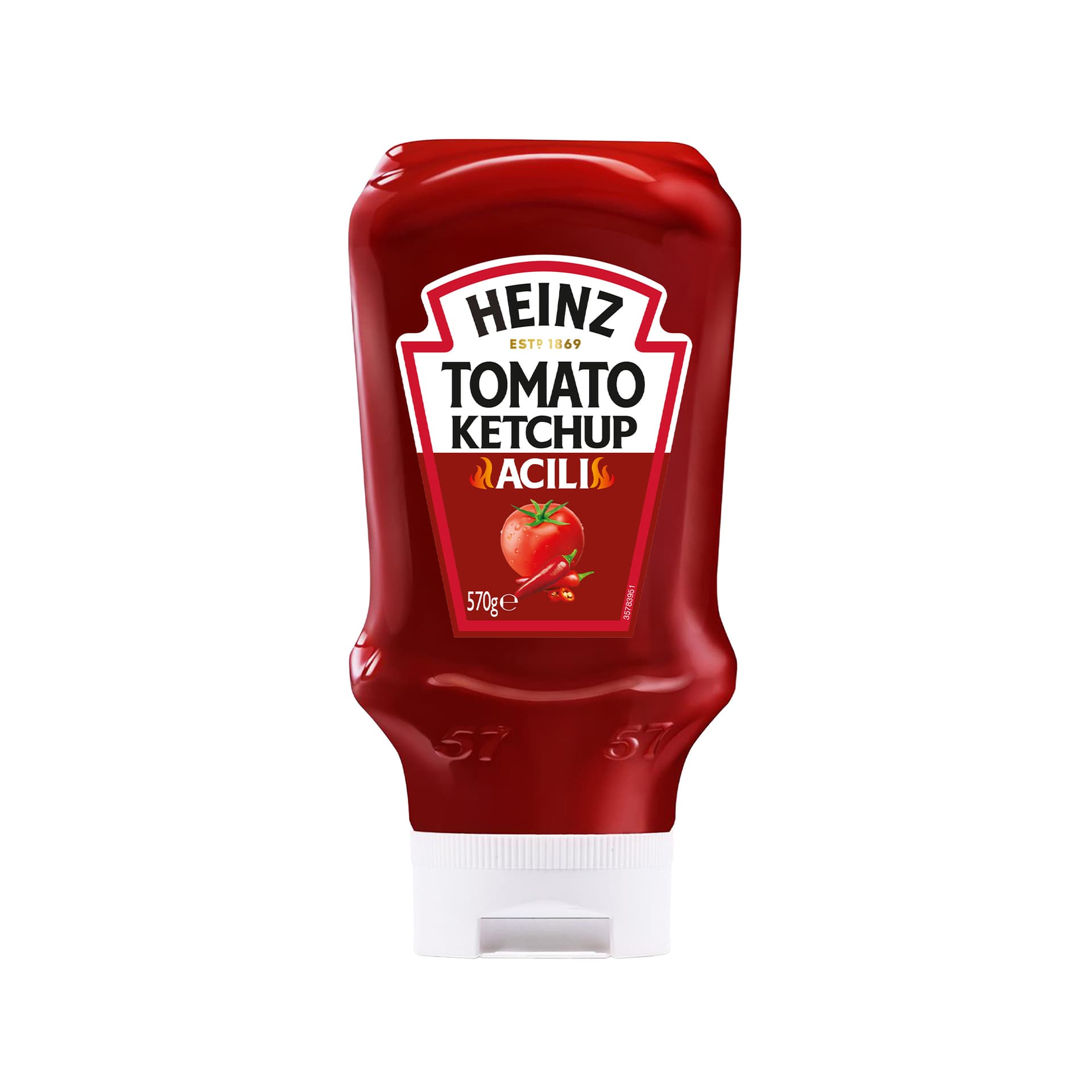 Heinz Spicy Ketchup